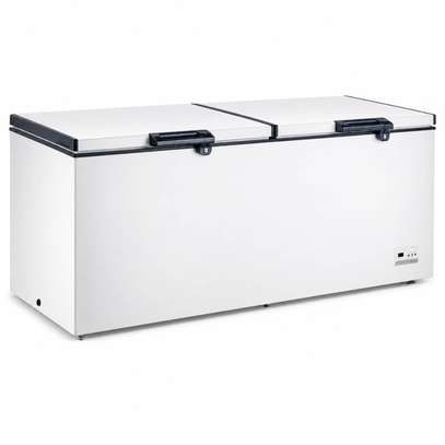 CONGELATEUR 850LITRES FINIX HORIZONTAL 2PORTES BLANC image 2