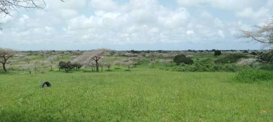 Hectare à vendre à Mboro image 2