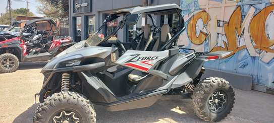 Buggy zforce 1000 image 2