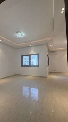 Duplex image 8