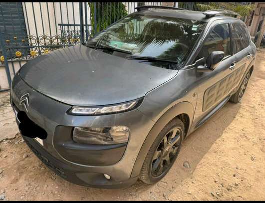 C4 Cactus 2015 image 3