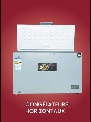 BD-350FX congélateur horizontal 350L classe A+ image 2