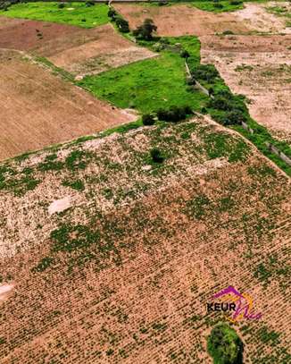 Terrain de 5 Hectares à vendre à Saly image 3