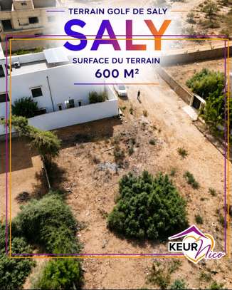 Terrain à vendre à Saly image 5