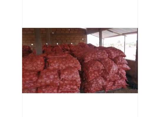 Champ Agricole à vendre à Keur Magueye Ndao image 11
