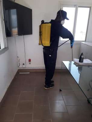 Service Désinfection - Dératisation - Lutte Antiparasitaire image 2