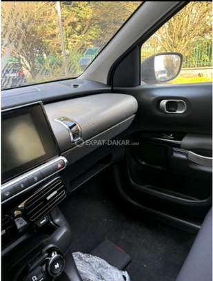 C4 Cactus 2015 image 5