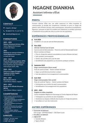 REDACTION DE CV PROFESSIONNEL ET LETTRE DE MOTIVATION. image 5