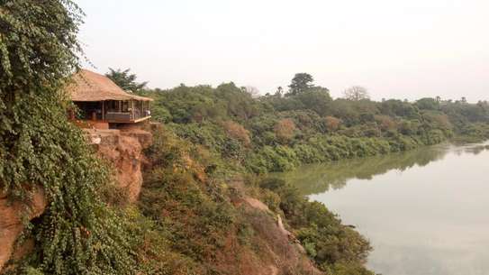 Niokolodge image 6