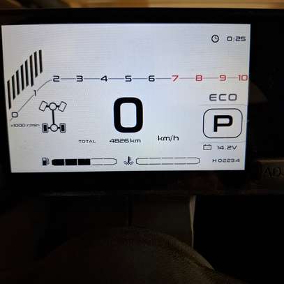 Buggy zforce 1000 image 4