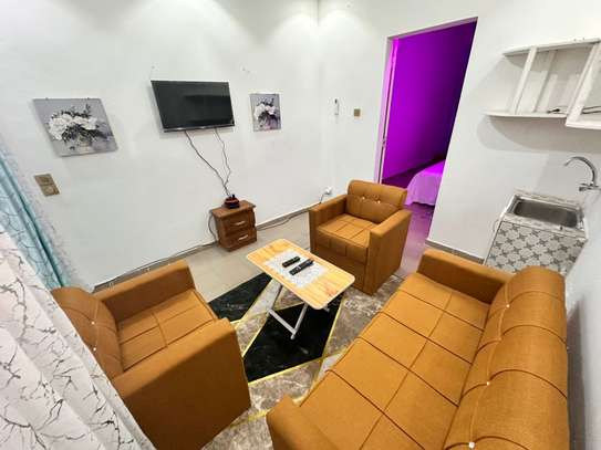 Studio meublé Ouest Foire image 4