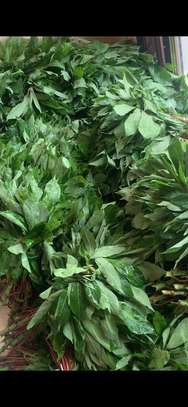 Saka Saka / Pondu - Feuilles de Manioc Écrasées 650g image 3