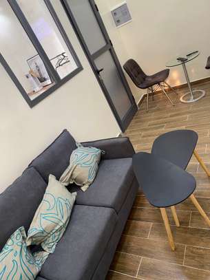 Appartement  meublés à louer à Front de terre image 4