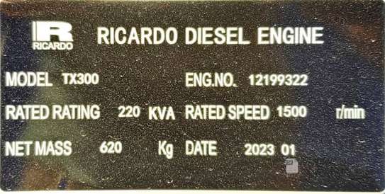 Groupe électrogène diesel 220 KVA moteur Ricardo image 3
