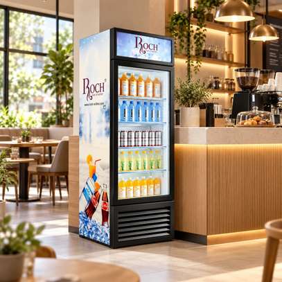 REFRIGERATEUR 260LITRES ROCH VERTICAL 1 PORTE VITRINE image 3