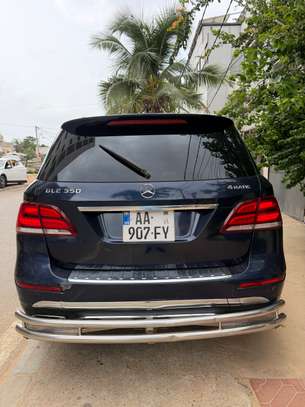 GLE image 11