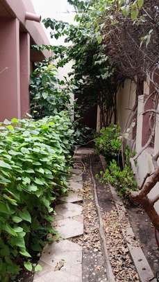 VILLA À LOUER A AMITIÉ 2 image 3