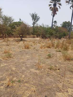 Verger 3ha à vendre à Ndianda Ngeuniène sur la route de joal image 2