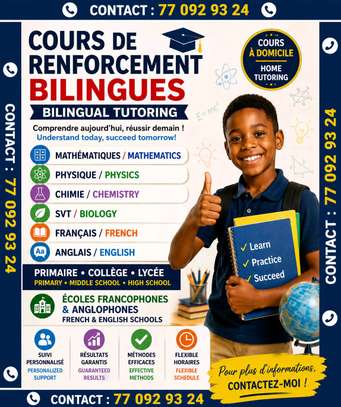Cours de renforcement bilingues Français - Anglais à Dakar image 2