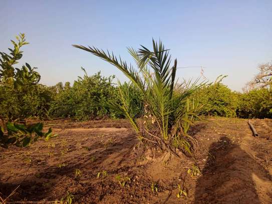 𝐕𝐞𝐫𝐠𝐞𝐫 𝐝𝐞 1 𝐡𝐞𝐜𝐭𝐚𝐫𝐞𝐬 6000m2 𝐞𝐧 𝐩𝐥𝐞𝐢𝐧𝐞 𝐩𝐫𝐨𝐝𝐮𝐜𝐭𝐢𝐨𝐧 image 2
