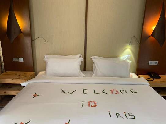 Iris Hôtel image 8