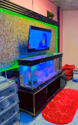 Très jolie et  grand Aquarium de 250 Litres et 1m50 de long image 4
