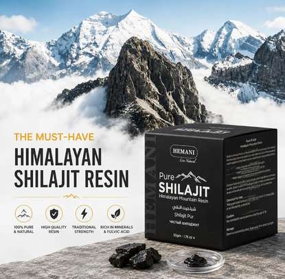 Shilajit Résine Pure Tonus Naturelle image 2