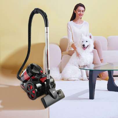 Aspirateur Cyclone 4L WINNING STAR image 2
