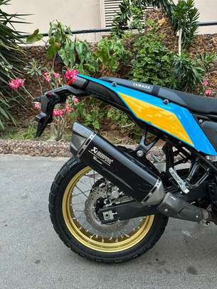 Tenere image 4