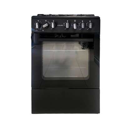 CUISINIERE 4FEUX ENDURO 60X60 3F A GAZ 1F ELECTRIQUE + FOUR image 2