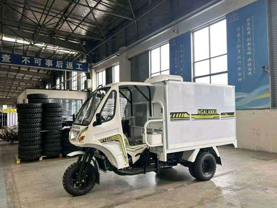 Ngalanka triporteur électrique utilitaire blanc sécurisé image 3