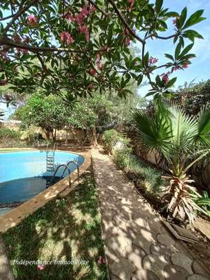 DAKAR ALMADIES : Terrain à vendre 980 m2 – TF image 2