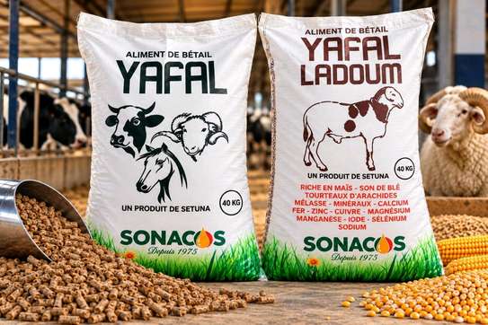 Aliments bétail YAFAL image 3