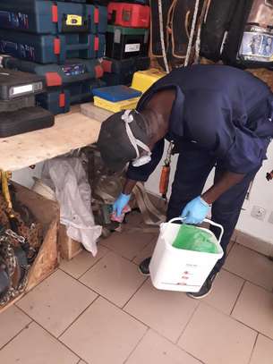 SERVICE DESINFECTION - DERATISATION - LUTTE ANTIPARASITE image 9