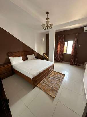 Appartement meublé aux Maristes image 6