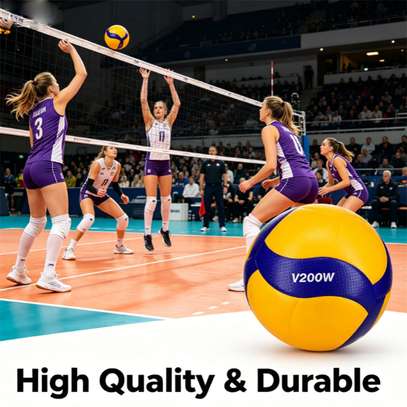 Ballon de volley-ball image 2