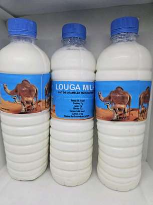 Lait de Chamelle Trésor du désert image 2