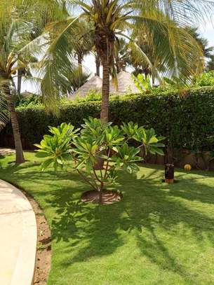 Belle villa F5 à louer à la résidence Kalahari (Saly) image 6