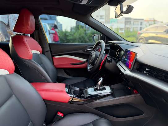 MG image 9