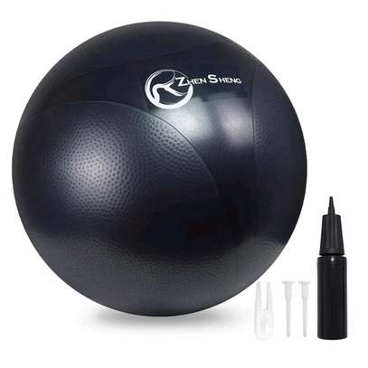 Ballon gym 500 lbs violet antidérapant taille standard image 7