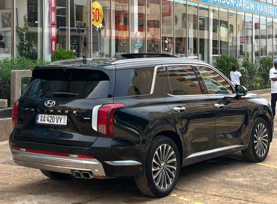 HYUNDAI PALISADE Année :2024 image 11