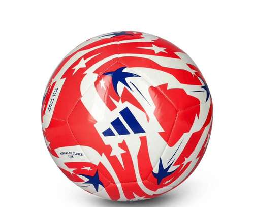 Ballon haute compétition image 4