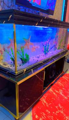 Très jolie et  grand Aquarium de 250 Litres et 1m50 de long image 6