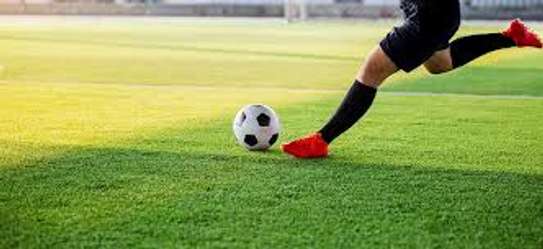 Gazon synthétique pour terrains de foot image 2
