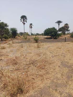 Verger 3ha à vendre à Ndianda Ngeuniène sur la route de joal image 13