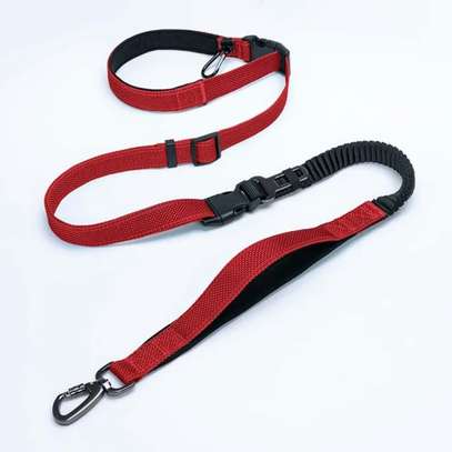 Laisse Gros Chien jusqu'a 45 kg image 2