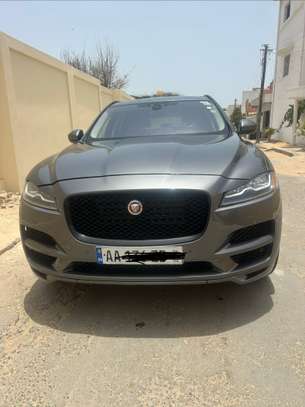 JAGUAR - PEACE ANNÉE 2017 image 3