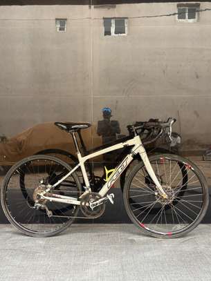 Cyclists image 2