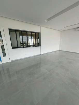 Somptueux Penthouse 289m2 au Point E image 6