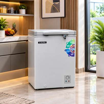 CONGELATEUR ALPHA HORIZONTAL 98LITRES GRIS image 2